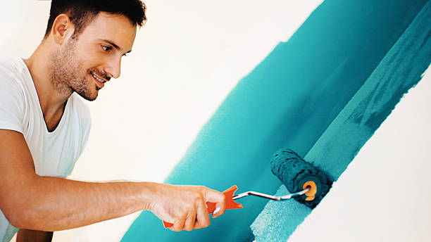 Best Post-Construction Mold Inspection  in Madison, NE