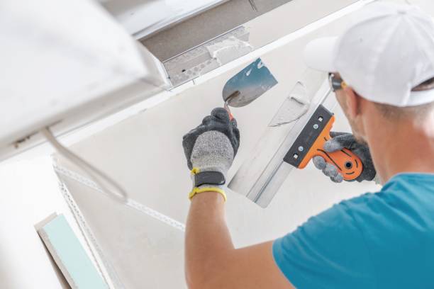 Best Emergency Mold Remediation  in Madison, NE
